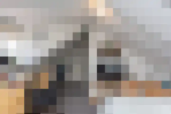 Stationsweg 31 Oldebroek thumbnail 25