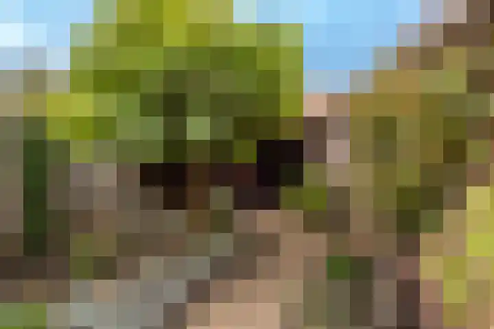 Stationsweg 31 Oldebroek thumbnail 29