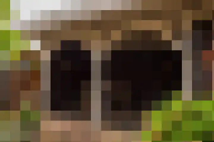 Stationsweg 31 Oldebroek thumbnail 30
