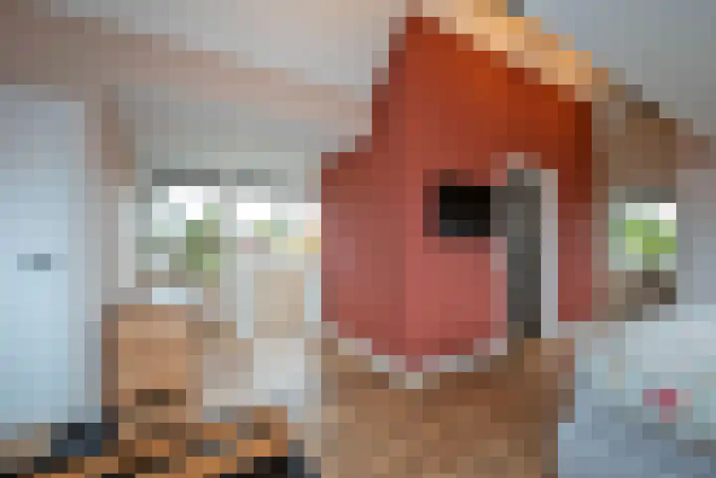 Stationsweg 34 Delden thumbnail 48