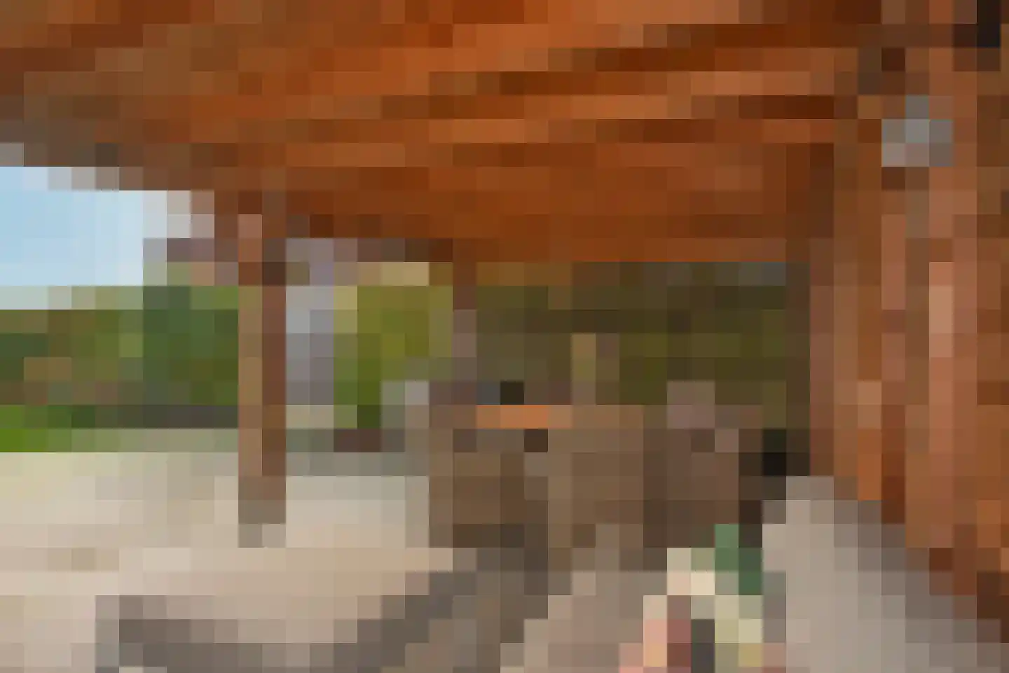 Stationsweg 34 Delden thumbnail 60