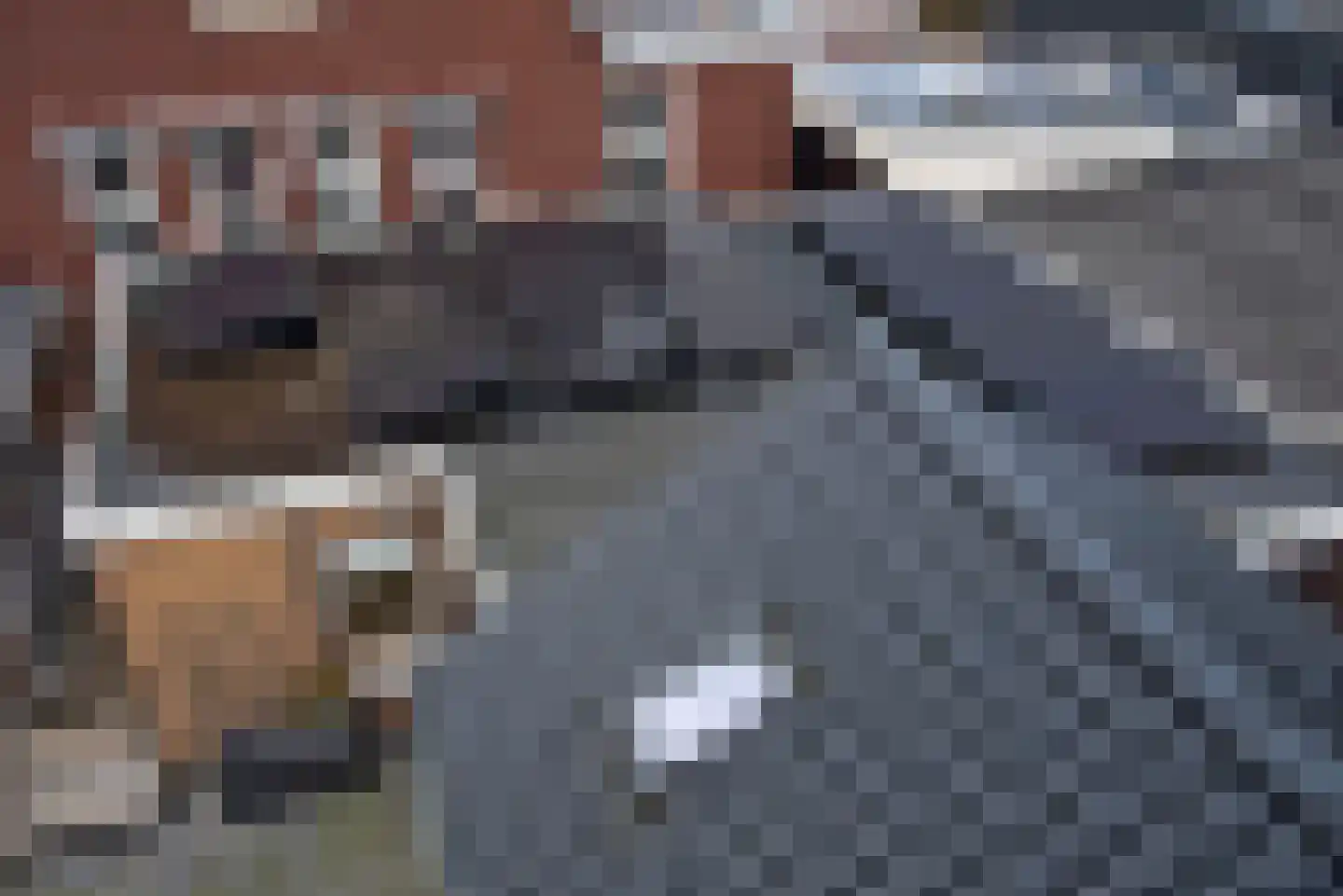 Stationsweg 34 Delden thumbnail 63