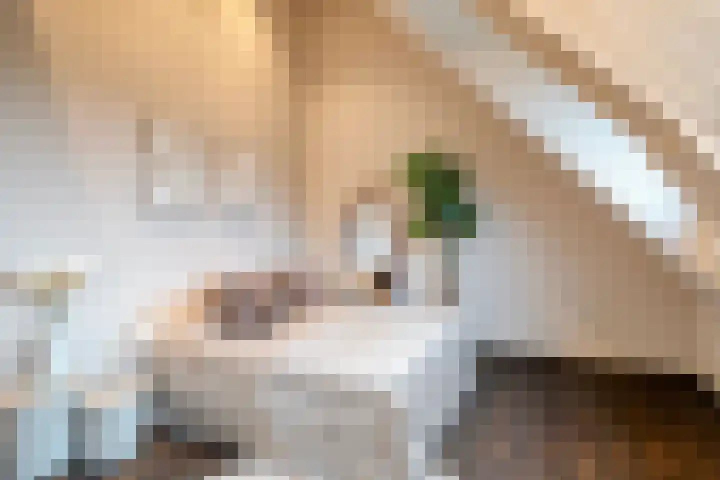 Stationsweg 37 Ouddorp thumbnail 34