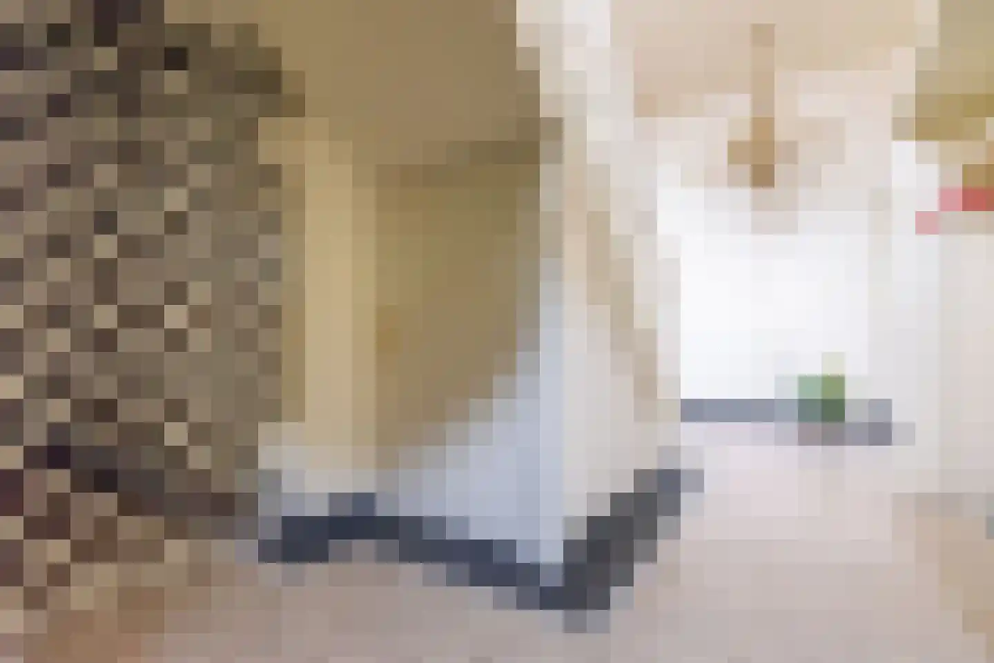 Stationsweg 4 Terborg thumbnail 28