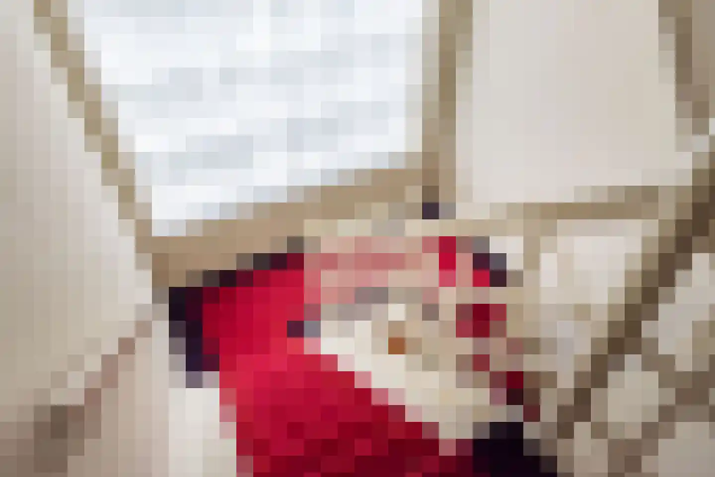 Stationsweg 4 Terborg thumbnail 34