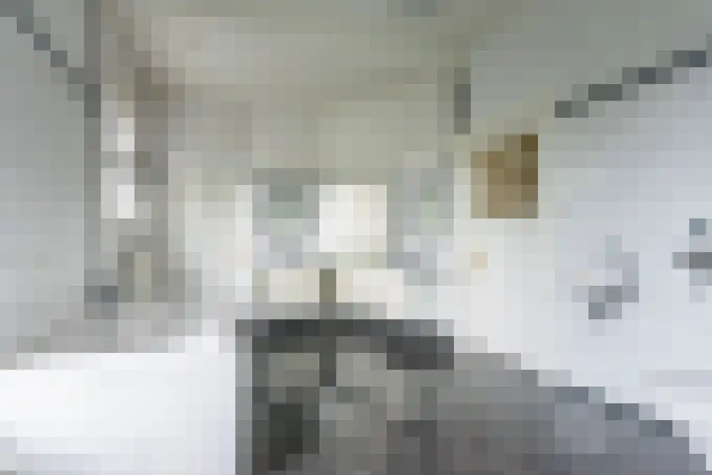 Stationsweg 4 Terborg thumbnail 37
