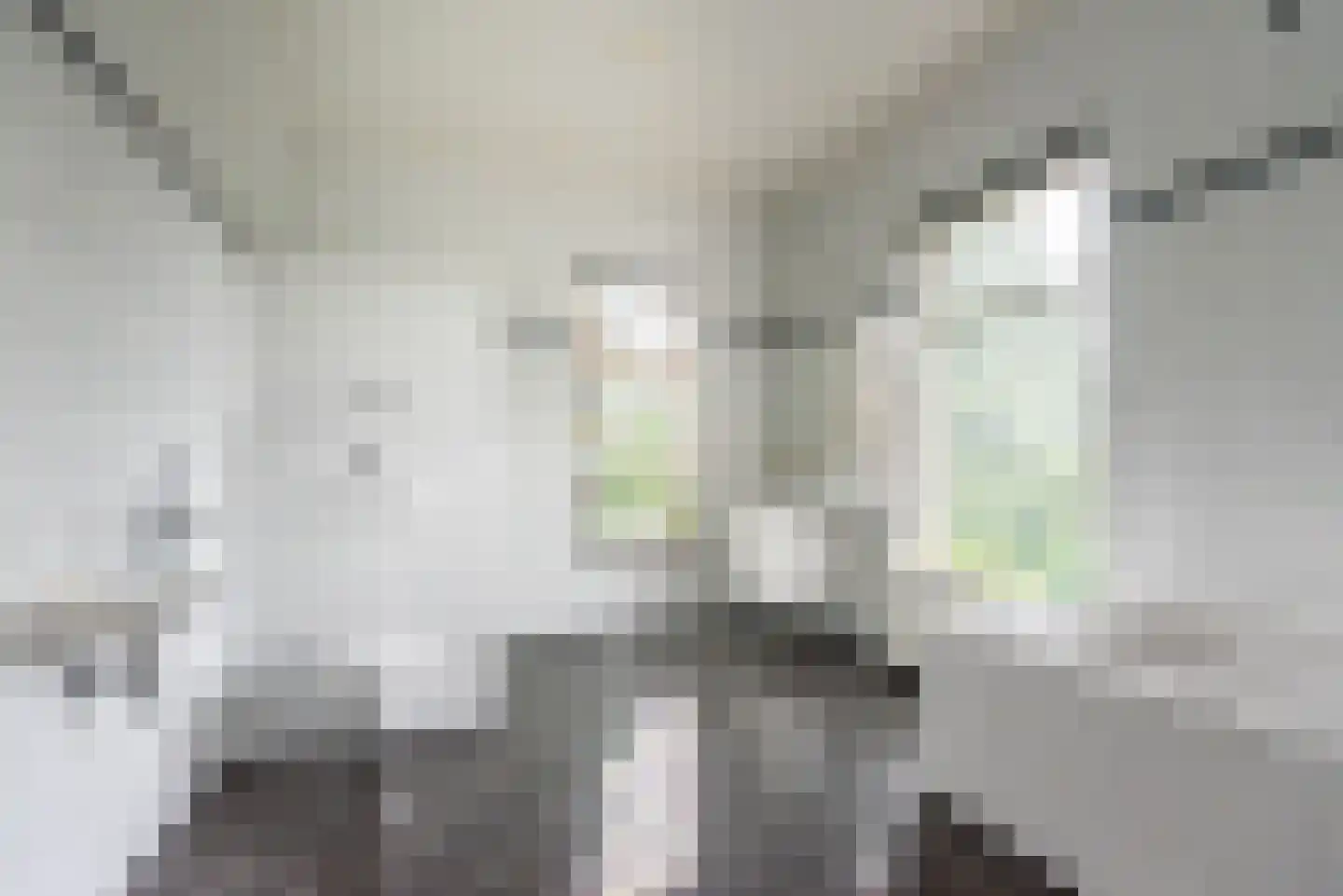 Stationsweg 4 Terborg thumbnail 38