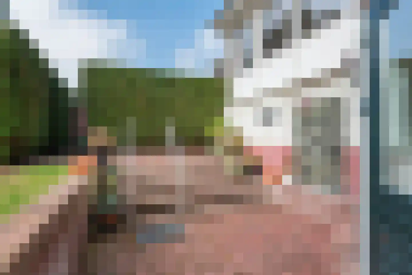 Stationsweg 4 Terborg thumbnail 67