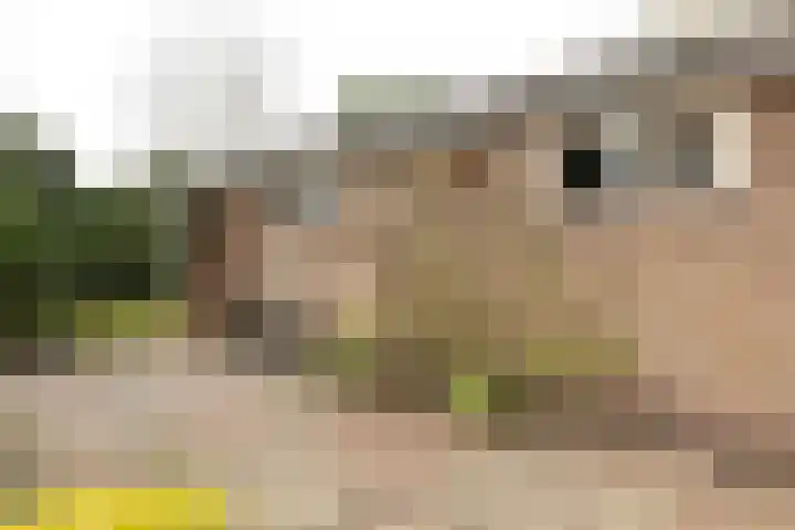 Stationsweg 55 Baarn thumbnail 36