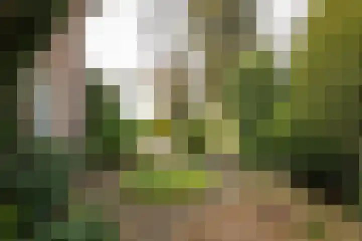 Stationsweg 55 Baarn thumbnail 6