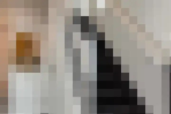Stationsweg 59 Wezep thumbnail 14