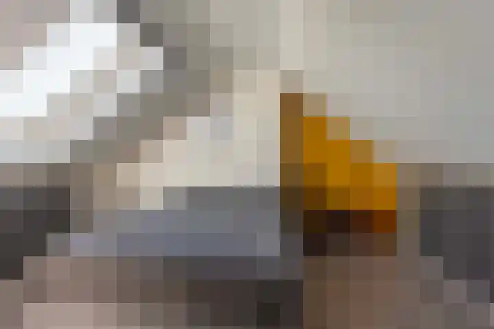 Stationsweg 59 Wezep thumbnail 40