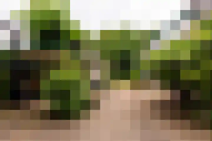 Stationsweg 63 Baarn thumbnail 28