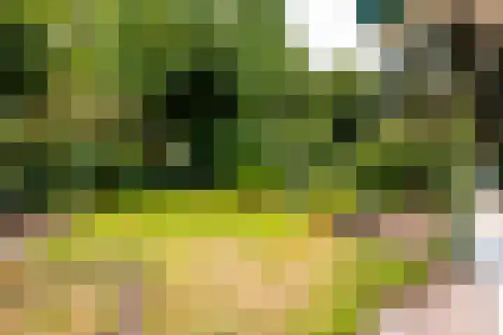 Stationsweg 63 Baarn thumbnail 30