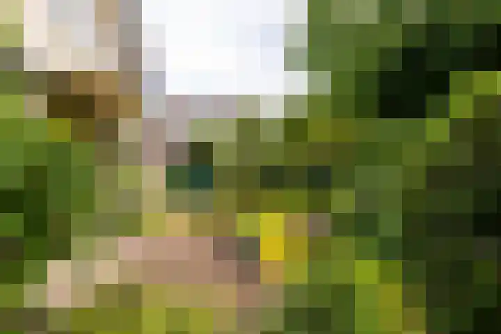 Stationsweg 63 Baarn thumbnail 32