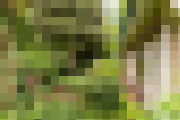 Stationsweg 63 Baarn thumbnail 33