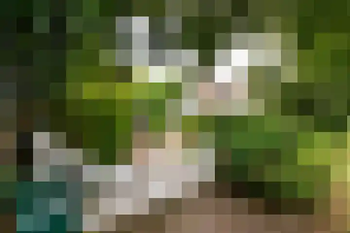 Stationsweg 63 Baarn thumbnail 37