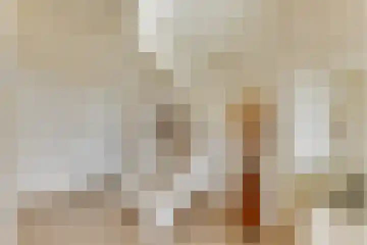 Stationsweg 65 a Heiloo thumbnail 16