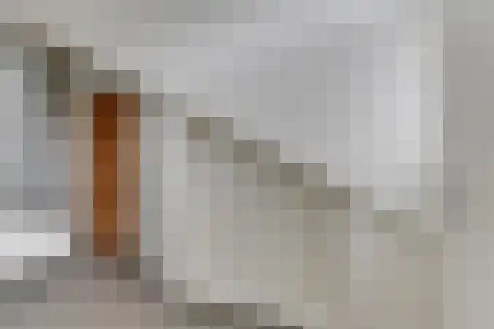 Stationsweg 65 a Heiloo thumbnail 24