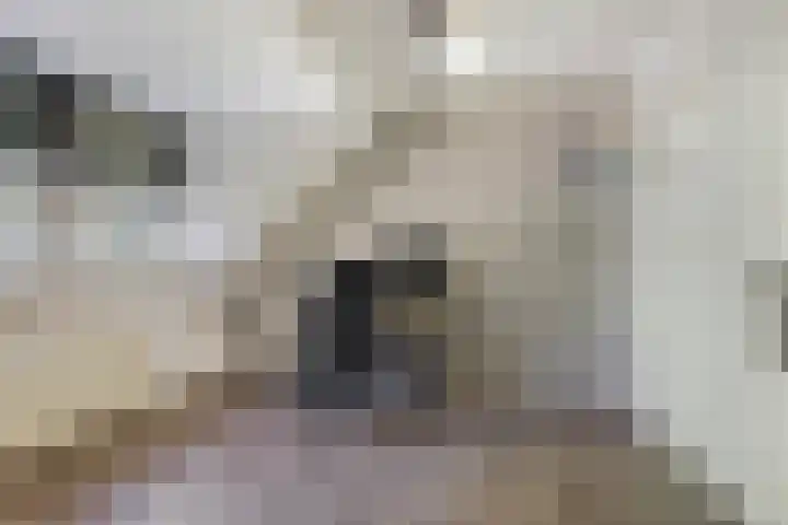 Stationsweg 67 Ede thumbnail 25