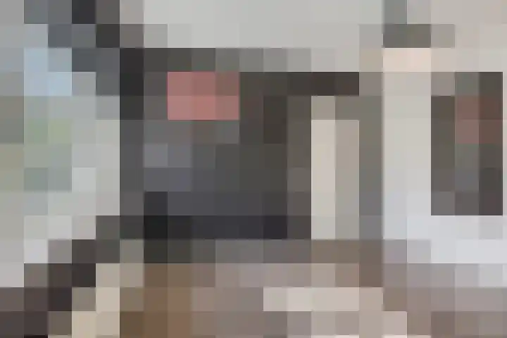 Stationsweg 67 Ede thumbnail 28