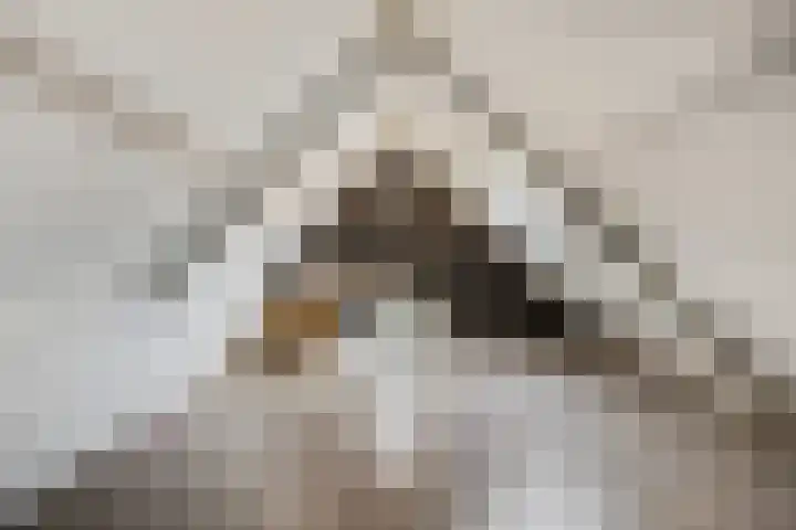 Stationsweg 67 Ede thumbnail 29