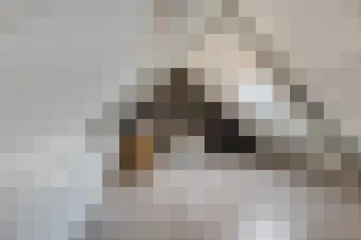 Stationsweg 67 Ede thumbnail 30