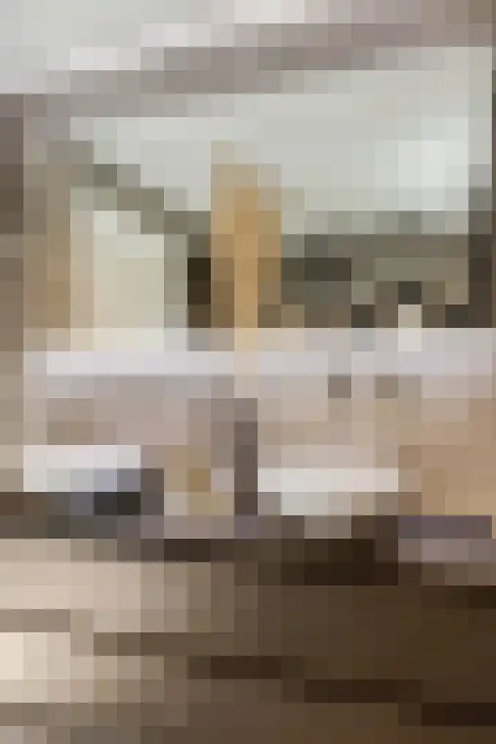Stationsweg 67 Ede thumbnail 36