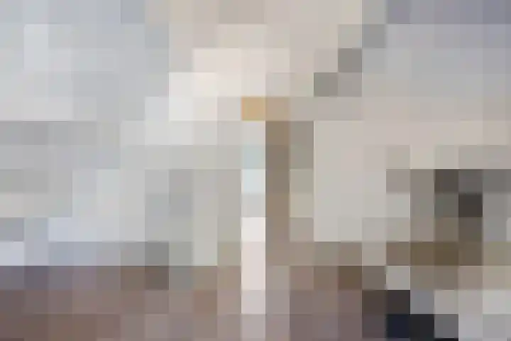 Stationsweg 67 Ede thumbnail 42