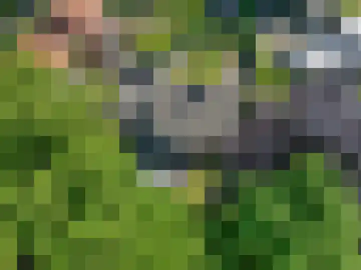 Stationsweg 67 Ede thumbnail 45