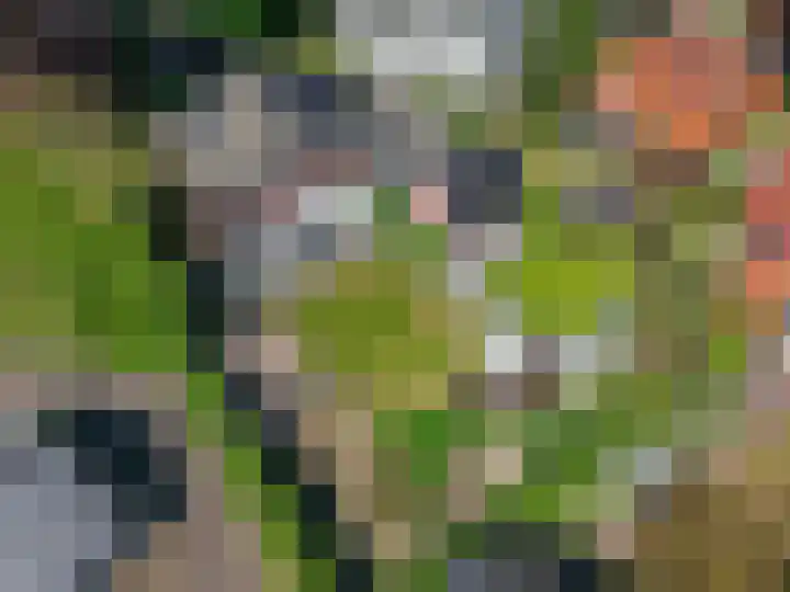 Stationsweg 67 Ede thumbnail 54