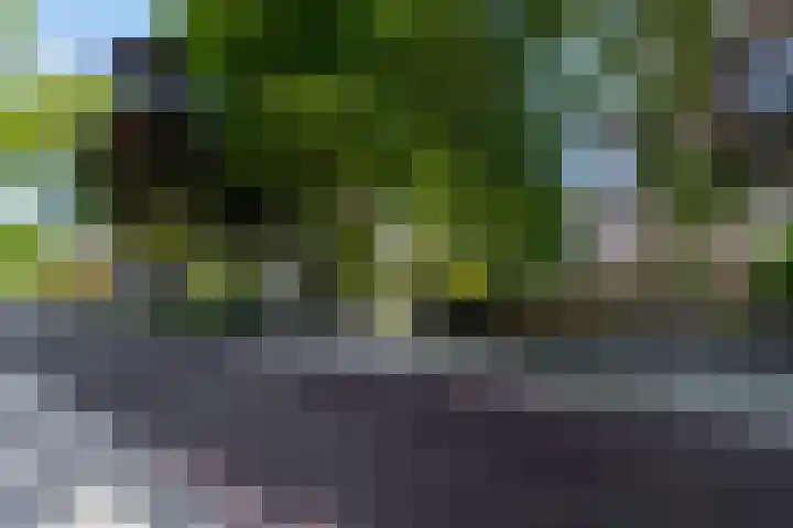 Stationsweg 67 Ede thumbnail 71