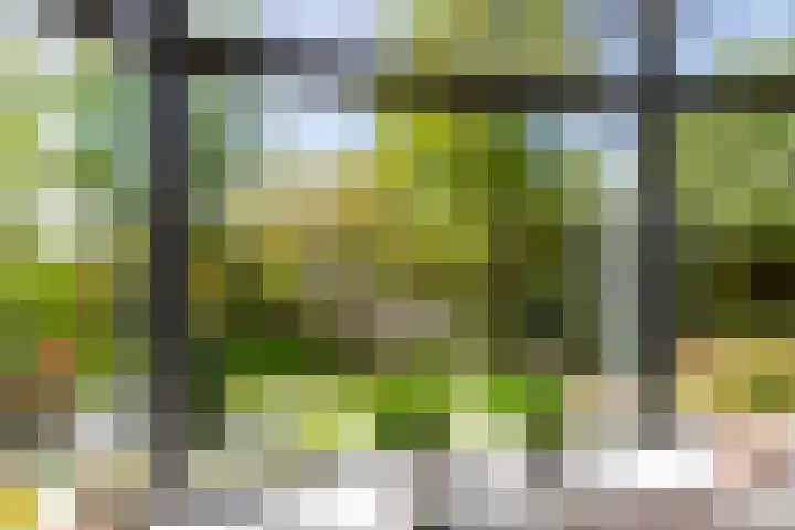 Stationsweg 7 Castricum thumbnail 10