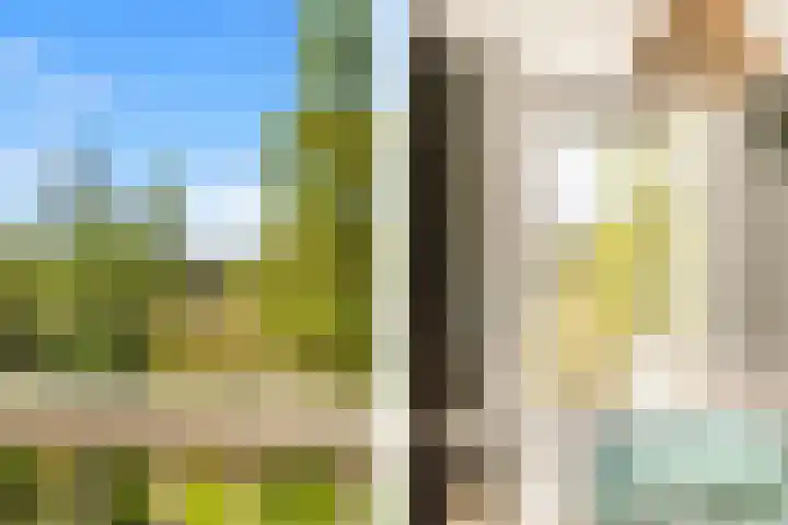Stationsweg 7 Castricum thumbnail 29