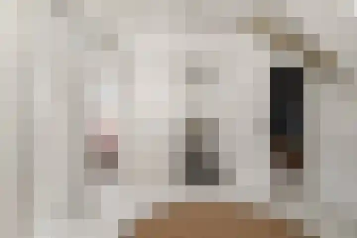 Stationsweg 7 Castricum thumbnail 33