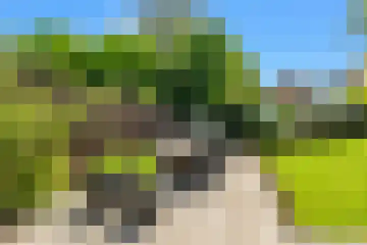 Stationsweg 7 Castricum thumbnail 44