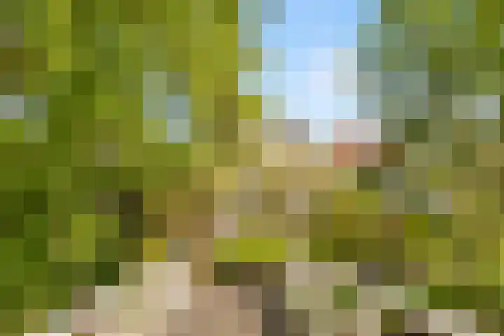 Stationsweg 7 Castricum thumbnail 45