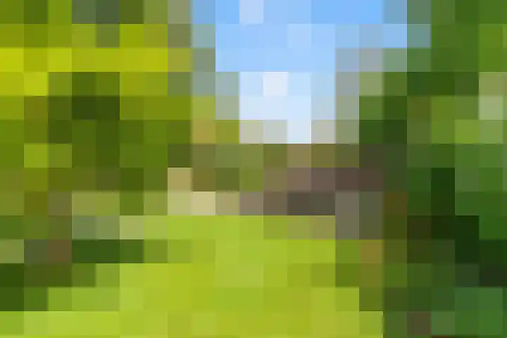 Stationsweg 7 Castricum thumbnail 49