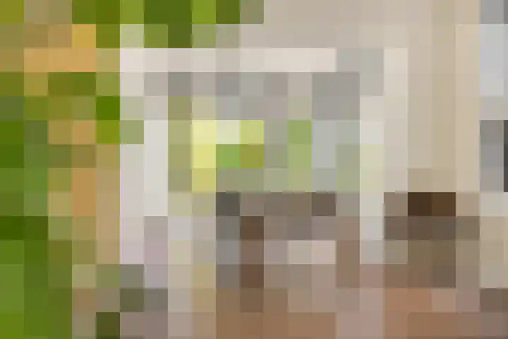 Stationsweg 7 Castricum thumbnail 5