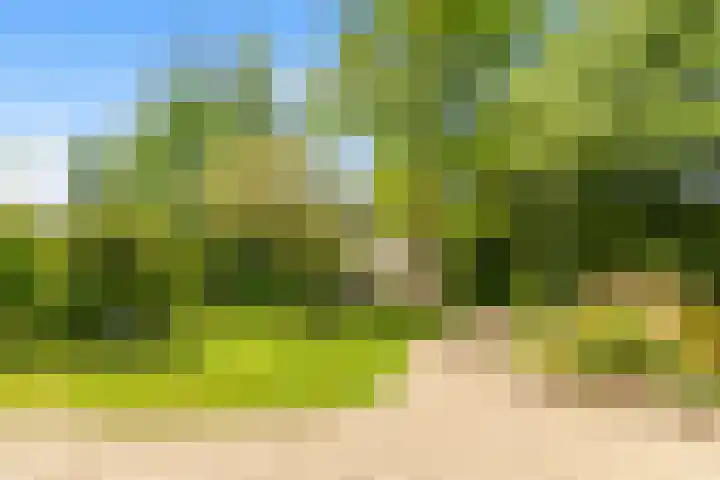 Stationsweg 7 Castricum thumbnail 50