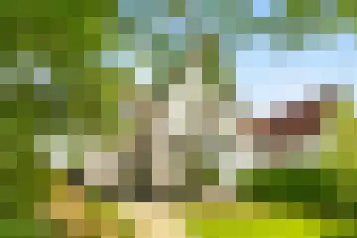 Stationsweg 7 Castricum thumbnail 51