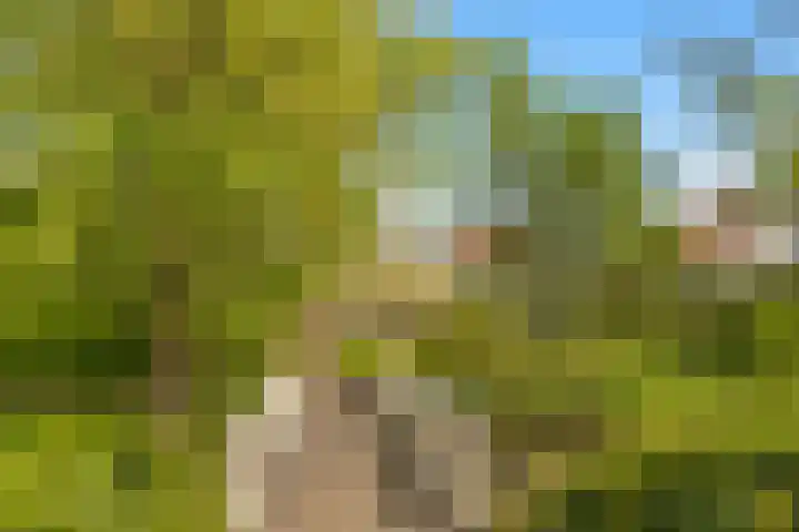 Stationsweg 7 Castricum thumbnail 53