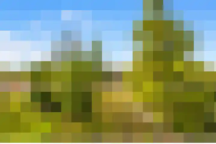 Stationsweg 7 Castricum thumbnail 54