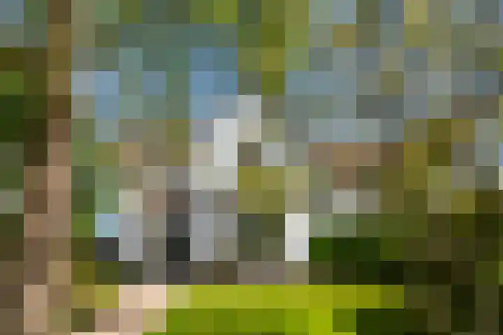 Stationsweg 7 Castricum thumbnail 63