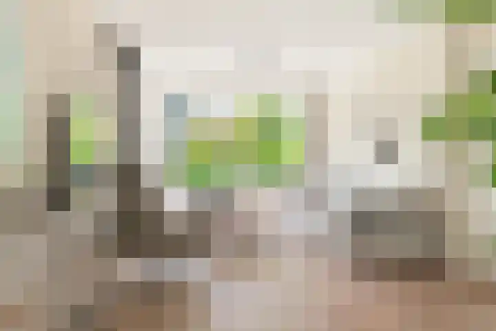 Stationsweg 7 Castricum thumbnail 9