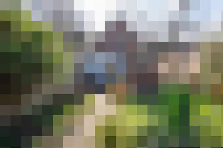 Stationsweg 71 Heiloo thumbnail 29