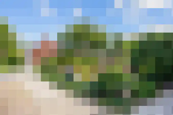 Stationsweg 72 Bedum thumbnail 10