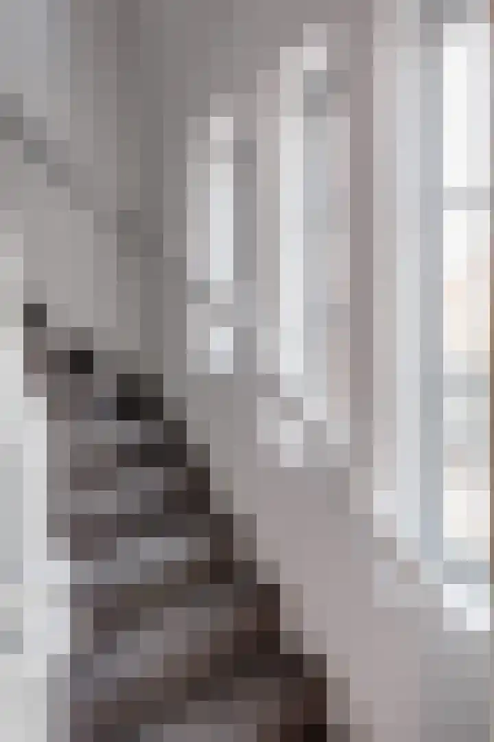 Stationsweg 72 Bedum thumbnail 16