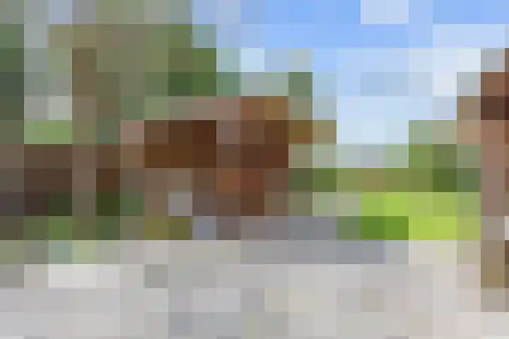 Stationsweg 72 Bedum thumbnail 58