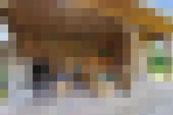 Stationsweg 72 Bedum thumbnail 59